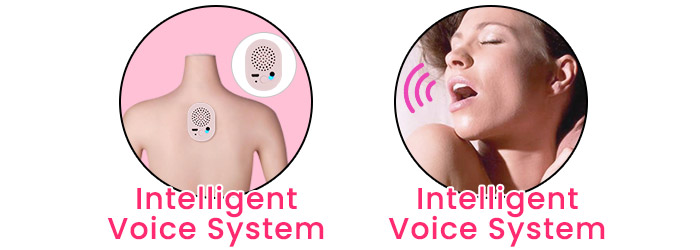 sex doll voice system