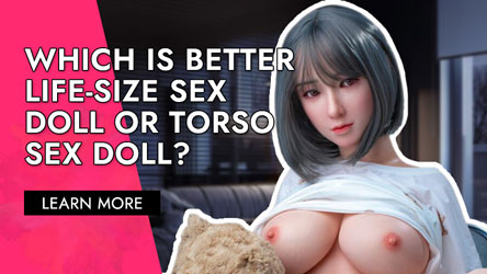 Which Is Better Sex Doll Torso or Life-Sized Sex Doll